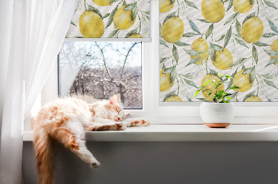 Store fenêtre intérieur pour citrons