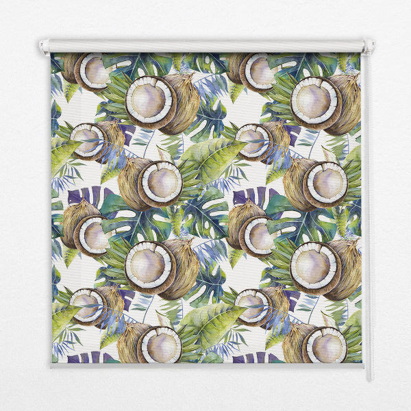 Store occultant fenêtre Les noix de coco et leurs feuilles