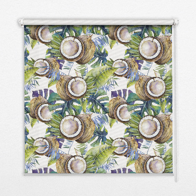 Store occultant fenêtre Les noix de coco et leurs feuilles