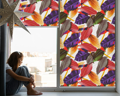 Store fenêtre intérieur feuilles colorées