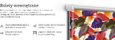 Store fenêtre intérieur feuilles colorées