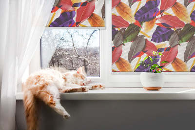 Store fenêtre intérieur feuilles colorées