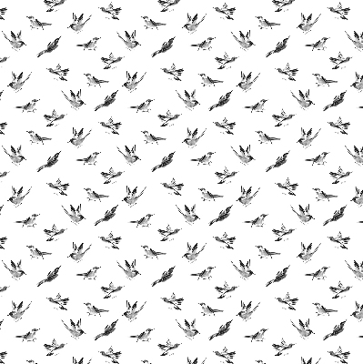 Store occultant fenêtre avec motif oiseaux