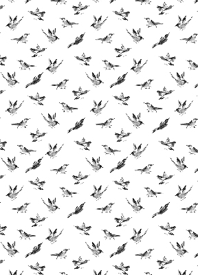 Store occultant fenêtre avec motif oiseaux