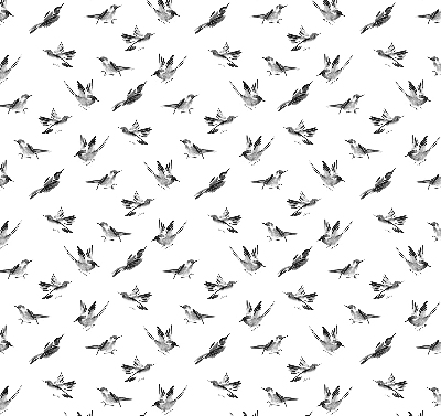 Store occultant fenêtre avec motif oiseaux