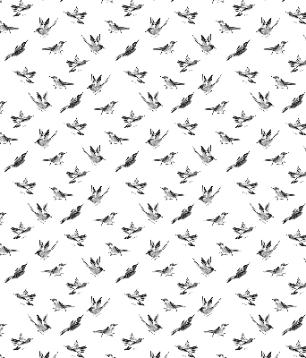 Store occultant fenêtre avec motif oiseaux
