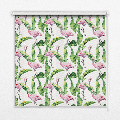 Store fenêtre intérieur pour flamants roses près des feuilles