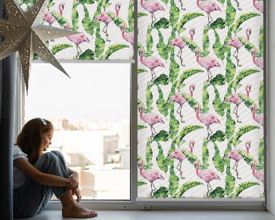 Store fenêtre intérieur pour flamants roses près des feuilles