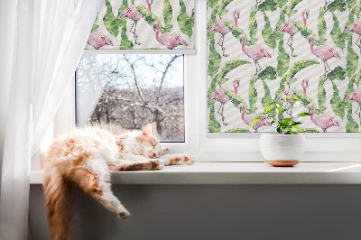 Store fenêtre intérieur pour flamants roses près des feuilles