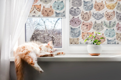 Store enrouleur occultant avec visages de chat colorés