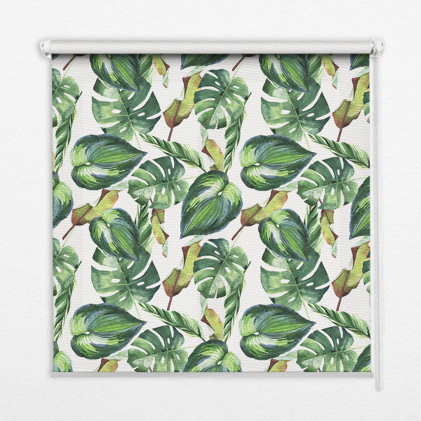 Store enrouleur occultant pour plantes tropicales