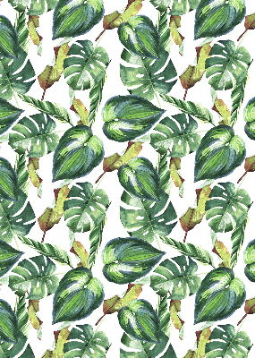 Store enrouleur occultant pour plantes tropicales