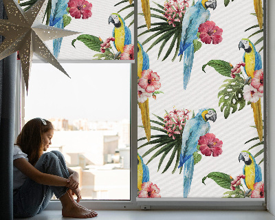 Store fenêtre intérieur avec motif perroquet sur des fleurs