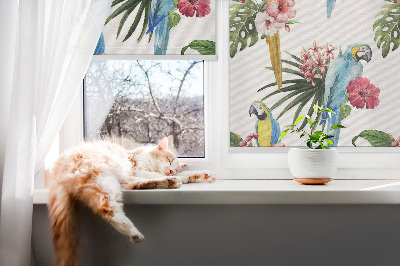 Store fenêtre intérieur avec motif perroquet sur des fleurs