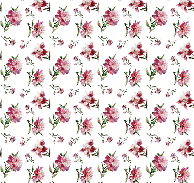 Store fenêtre intérieur fleur rose
