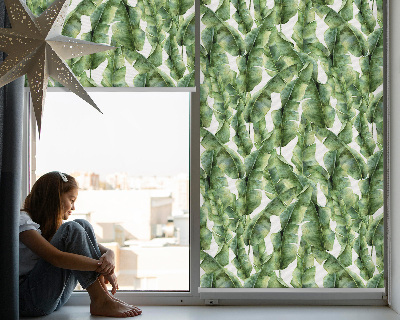 Store fenêtre intérieur feuilles