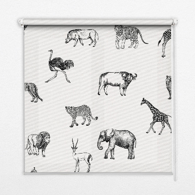 Store enrouleur occultant Animaux
