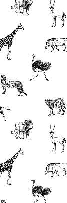 Store enrouleur occultant Animaux