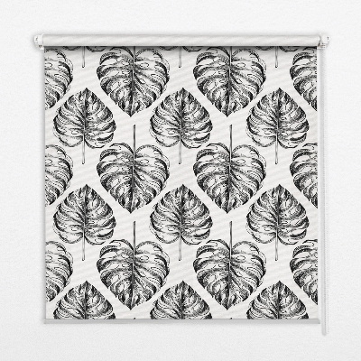 Store occultant fenêtre en feuilles grises