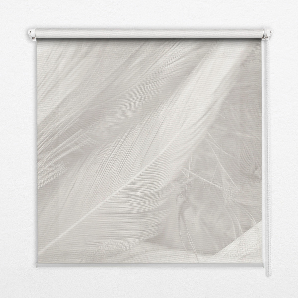 Store occultant fenêtre plumes