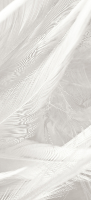 Store occultant fenêtre plumes