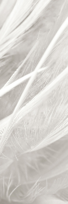 Store occultant fenêtre plumes