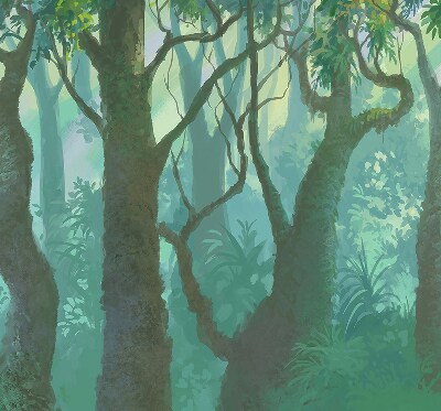 Arbres pour store fenêtre intérieur
