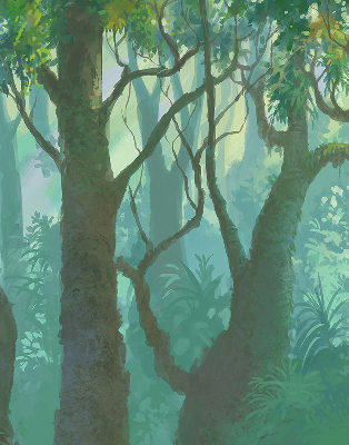 Arbres pour store fenêtre intérieur
