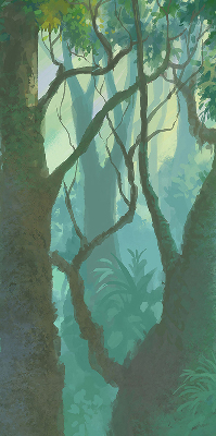 Arbres pour store fenêtre intérieur