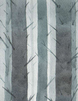 Store occultant fenêtre arbres