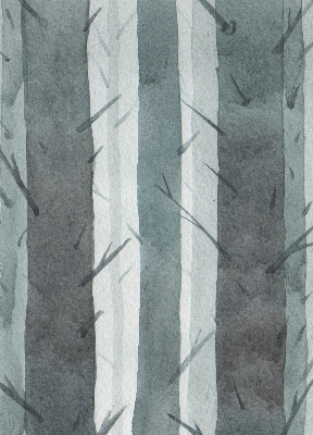 Store occultant fenêtre arbres