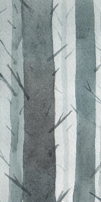 Store occultant fenêtre arbres