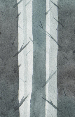 Store occultant fenêtre arbres