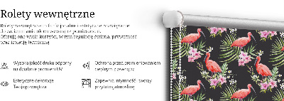 Store fenêtre intérieur flamants roses sur les plantes