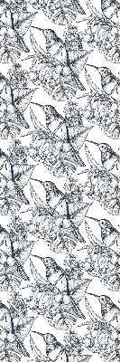 Store occultant fenetre avec motif fleurs dessinées