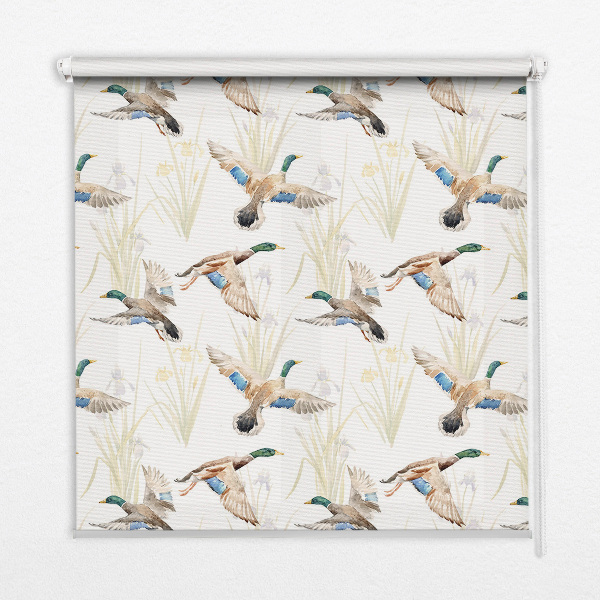 Store enrouleur occultant canards volants