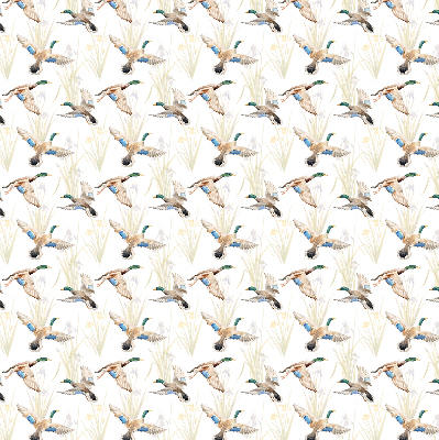 Store enrouleur occultant canards volants