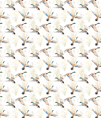 Store enrouleur occultant canards volants