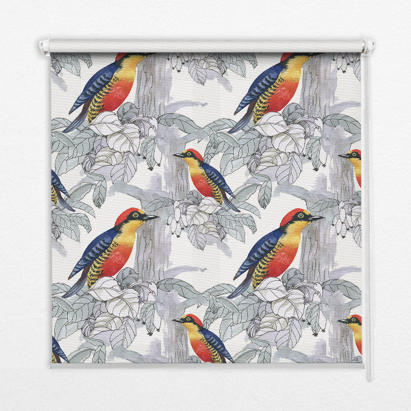 Store fenêtre intérieur oiseau coloré