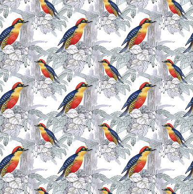 Store fenêtre intérieur oiseau coloré