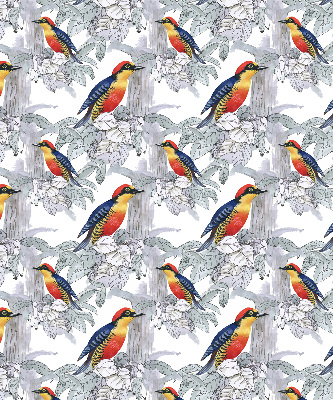 Store fenêtre intérieur oiseau coloré