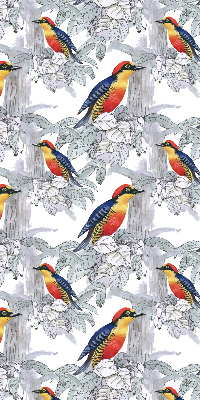 Store fenêtre intérieur oiseau coloré