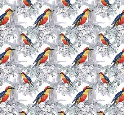 Store fenêtre intérieur oiseau coloré