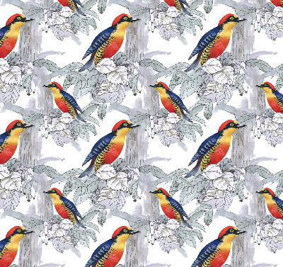 Store fenêtre intérieur oiseau coloré