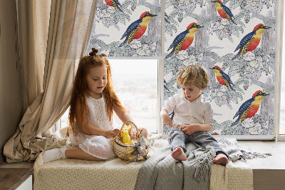 Store fenêtre intérieur oiseau coloré