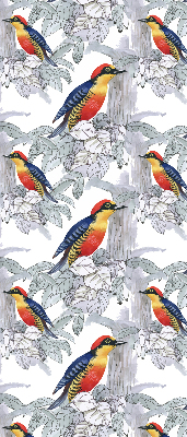 Store fenêtre intérieur oiseau coloré