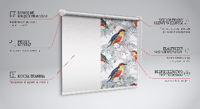 Store fenêtre intérieur oiseau coloré