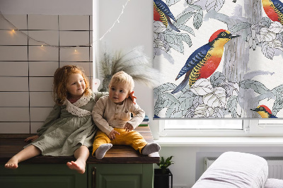 Store fenêtre intérieur oiseau coloré