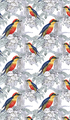 Store fenêtre intérieur oiseau coloré