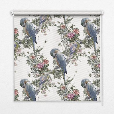 Store fenêtre intérieur avec des perroquets sur des fleurs